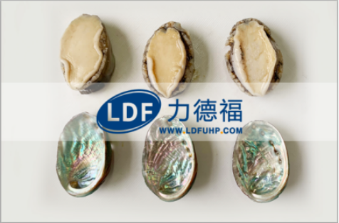 鮑魚脫殼效果.png