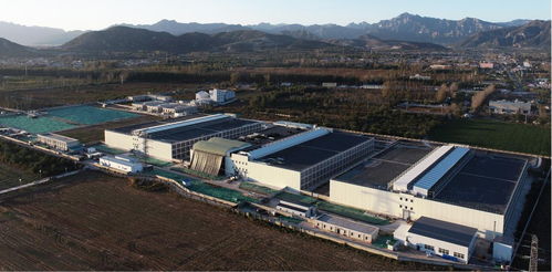 豐收時節(jié)譜新篇 2024中國農民豐收節(jié)聚焦畜牧水產品質提升與飼料銷售新動能